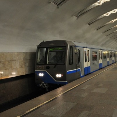 В петербургском метро полицейские поймали голую женщину (фото, 18+)