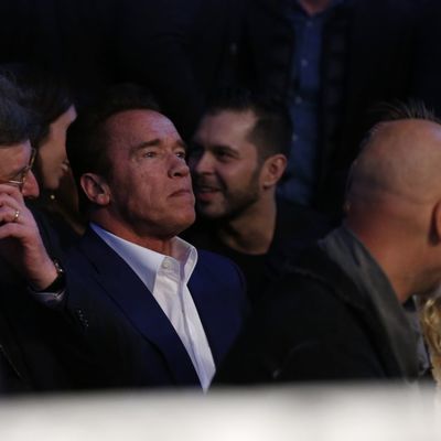 Бой-реванш между Кличко и Джошуа надеется увидеть Арнольд Шварценеггер