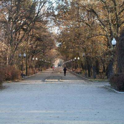 В одном из парков Киева орудует маньяк (видео)