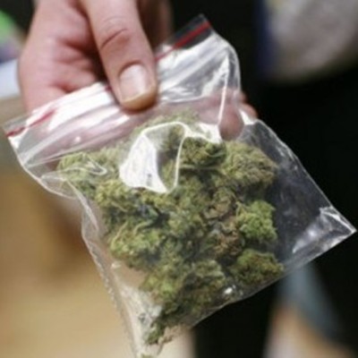 На рекорд: одесские копы изъяли марихуаны на 16 млн