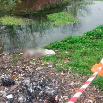 В реке на Буковине обнаружили тело младенца
