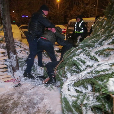 В Киеве продавец елок отбивался от покупателей топором