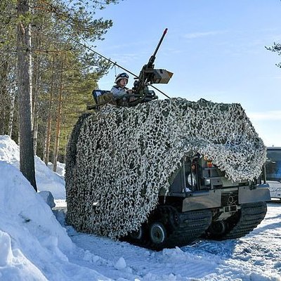 Шведский военный погиб под БМП на учениях