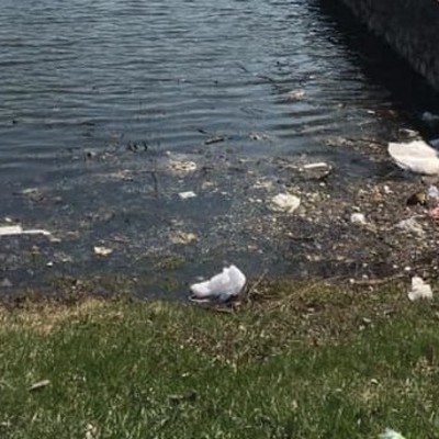 В Киеве озеро с дикими утками засыпали мусором