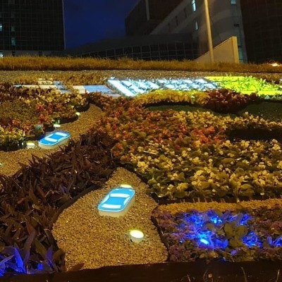 К юбилею одного из районов Киева создали клумбу из 10 тысяч цветов (фото)