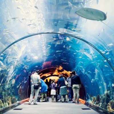 В Киевском зоопарке появится подземный океанариум